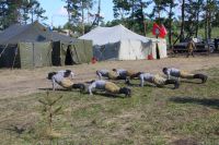 Фестиваль «Воронежский фронт»