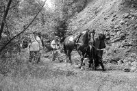 Военно-историческая реконструкция «Афган 2017» 