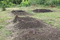 Посещение памятников