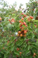 Посещение памятников