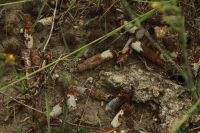 Посещение памятников