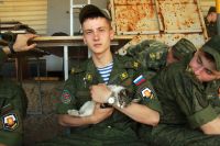 Занятия по стрелковой подготовке