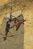 Занятия по стрелковой подготовке