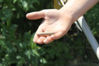 Военно-полевой выход