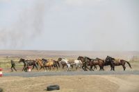 Поездка на форум «Армия 2017»