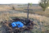 Поисковая вахта памяти у поселка Самбек