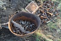 Поисковая вахта памяти у поселка Самбек