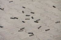 Принятие присяги Ростовскими юнармейцами