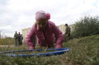 Открытие нового учебного года  по программе «Уроки мужества»