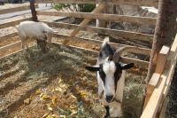 Открытие казачьего культурного центра