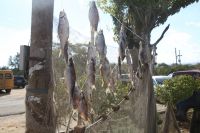 Открытие казачьего культурного центра