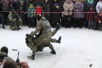 День защитника Отечества