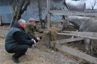 Поездка в конно-спортивный комплекс «Сармат»