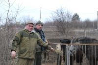 Поездка в конно-спортивный комплекс «Сармат»