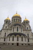 День призывника в Новочеркасске