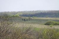 Вахта памяти