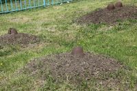 Вахта памяти