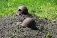 Вахта памяти