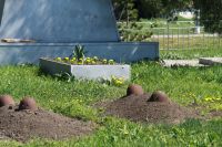 Вахта памяти