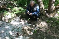 Ремонт и благоустройство памятников