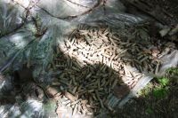 Ремонт и благоустройство памятников