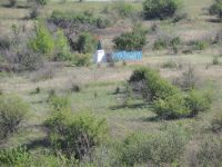 Марш Памяти