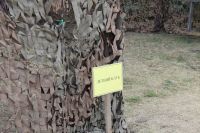 Поисковая работа