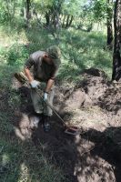 Поисковая работа