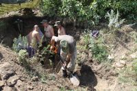 Поисковая работа