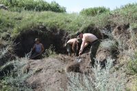 Поисковая работа