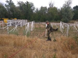 Предтеченский городок