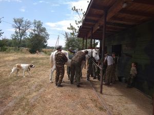 Предтеченский городок