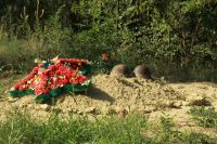 Тропа боевой славы