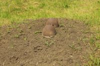 Тропа боевой славы