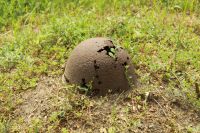 Тропа боевой славы