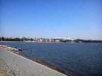 Соревнования по гребле