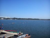 Соревнования по гребле