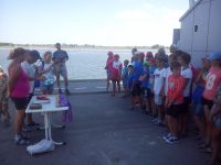 Соревнования по гребле