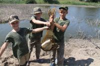 Фестиваль «Самбекские высоты»