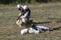 Фестиваль «Самбекские высоты»