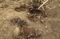 Поисковые вахты  памяти