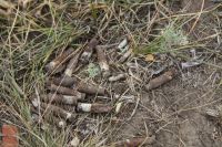 Поисковые вахты  памяти