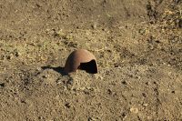 Совещание, посвященное увековечиванию памяти погибших защитников Отечества