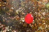 Военно-полевой выход юнармейцев