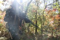 Военно-полевой выход юнармейцев