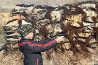 Учебно-боевые стрельбы