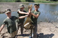 Учебные стрельбы