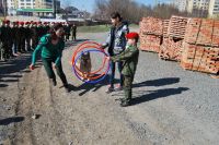 31 марта 2019 года