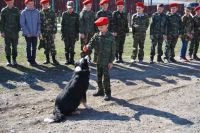 31 марта 2019 года