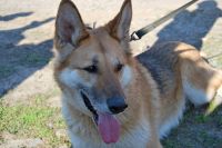 31 марта 2019 года